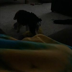 Meet your Posher, Britt